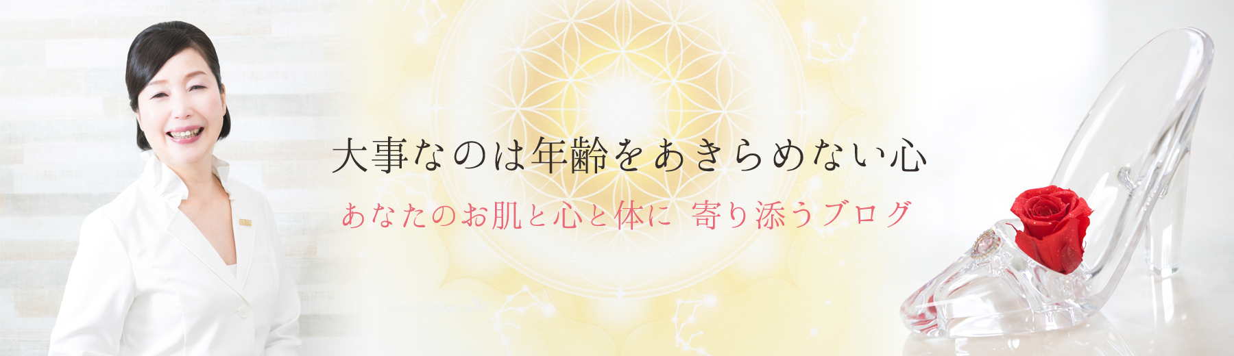 ブログ